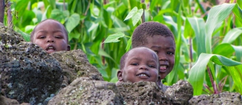 D.R. Konga – Materace i moskitiery dla dzieci z “Maison Papy”