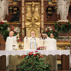 Italy – SFSD2025: the Mass presided over by Cardinal Cristóbal López, SDB, Archbishop of Rabat