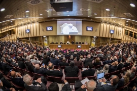 Vaticano - Audiencia a los participantes al Encuentro con motivo del 50° aniversario de la "Populorum Progressio"