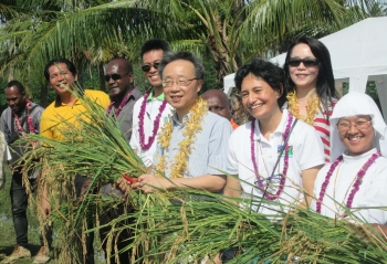 Islas Salomón - Festival de la cosecha de arroz