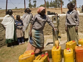 Etiopia – Światowy Dzień Walki z Pustynnieniem: konkretne zaangażowanie salezjańskie