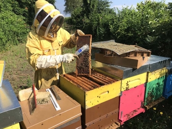 Italie – École Agricole Salésienne de Lombriasco et « Net4Grow : » achèvement du premier cycle du projet « ApiCulture »