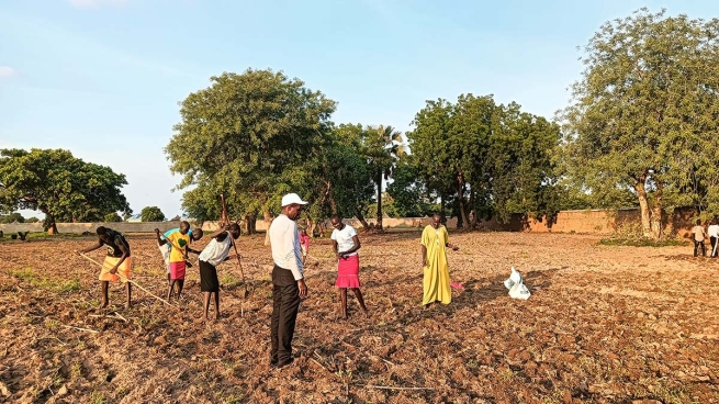 South Sudan – Don Bosco Tonj school pupils cultivate the land to deal with the country's economic instability