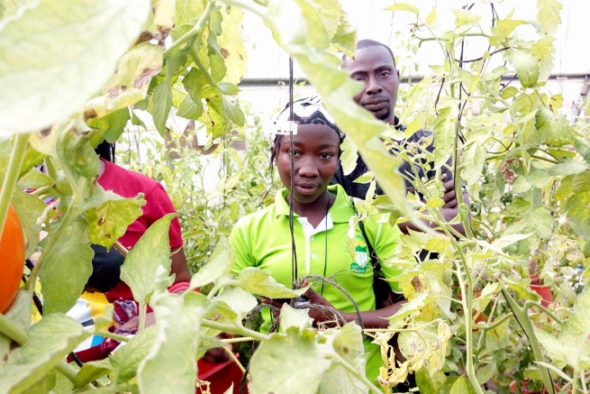 Ghana – Formare i giovani per promuovere l’occupazione e l’agricoltura sostenibile, contro l’emigrazione illegale