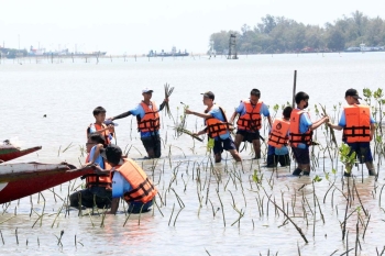 Thaïlande - Les élèves des écoles salésiennes plantent des mangroves, pour un impact positif sur l'environnement