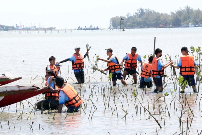 Thailand – Salesian school students plant mangroves, for a positive impact on the environment