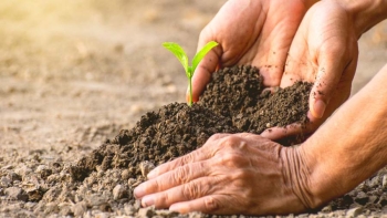 Italie – UPS, « Université « Laudato Si’ »