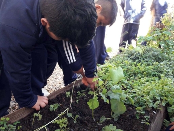 Argentina – Una EcoScuola è possibile