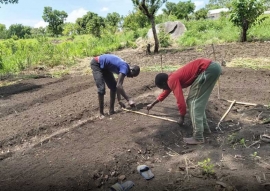 Uganda – Izolacja i brak pożywienia dla uchodźców z Palabek z powodu koronawirusa