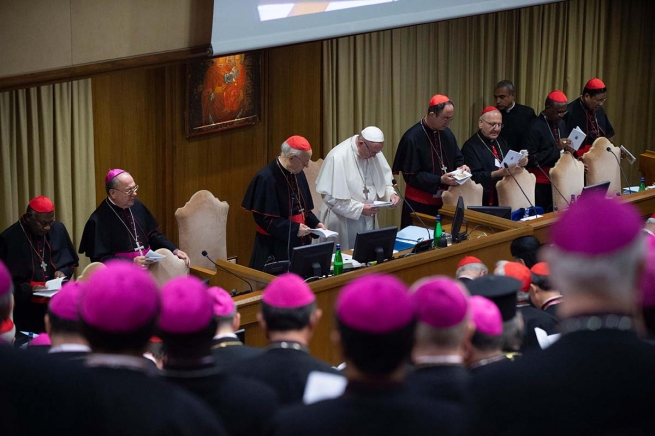 Vaticano - Jovens santos para renovar a Igreja e o mundo