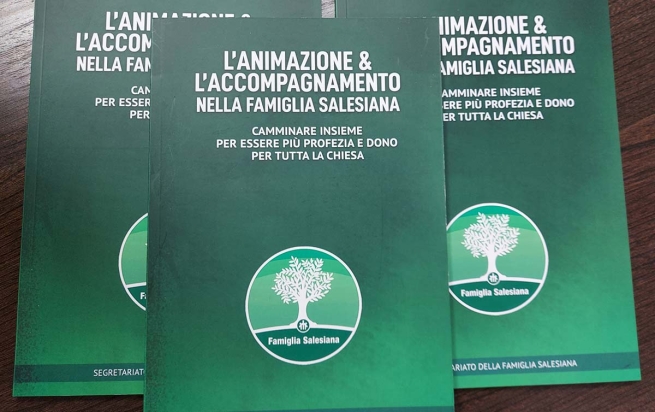 RMG – L’animazione & l’accompagnamento nella Famiglia Salesiana