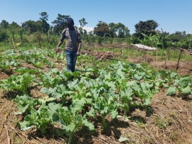 Uganda – Salesian missionaries purchase land for agriculture school thanks to donor funding from Salesian Missions