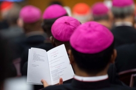 The numbers of the Synod