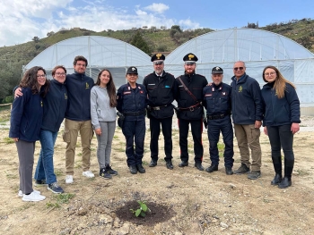 Italie - Plantation d'un magnolia nommé d'après Giovanni Falcone à la « Beteyà Digital Farm »